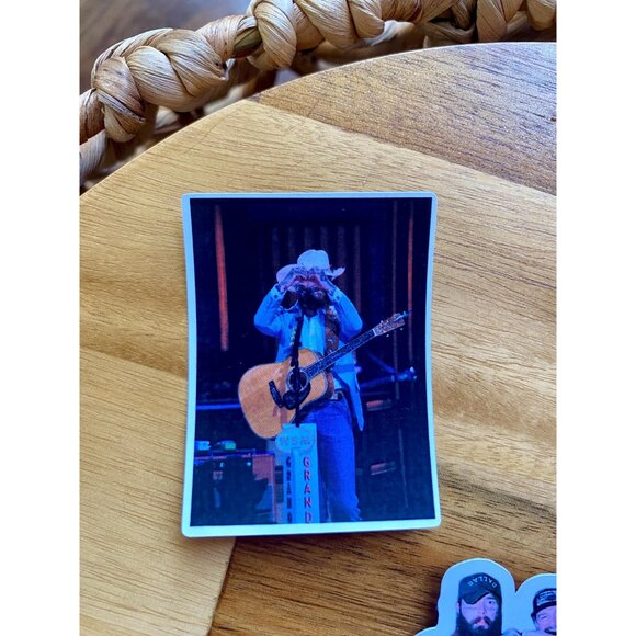 Post Malone Morgan Wallen Inspired Stickers Set of 7 Perfect For Water B… - Picture 8 of 8